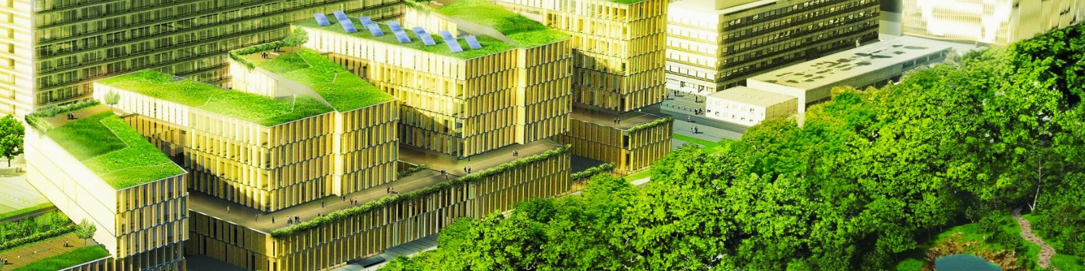 New category at the World's Greenest Hospital: Resilience